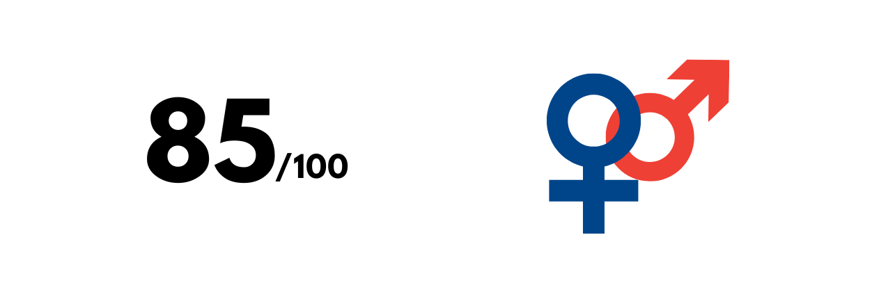 Index égalité femmes-hommes Denis Matériaux